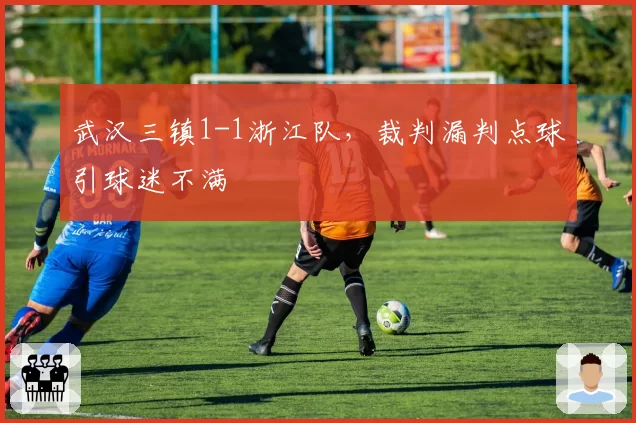 武汉三镇1-1浙江队，裁判漏判点球引球迷不满