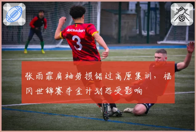 张雨霏肩袖劳损错过高原集训，福冈世锦赛夺金计划恐受影响